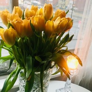 Meet your Posher, Noushin